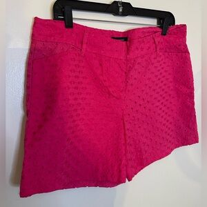 The Limited Hot Pink High Waist Shorts